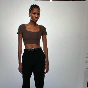 Aritzia Babaton Cropped - Brown